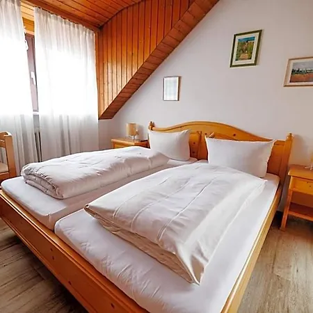 Drexl Shiro Hotel *