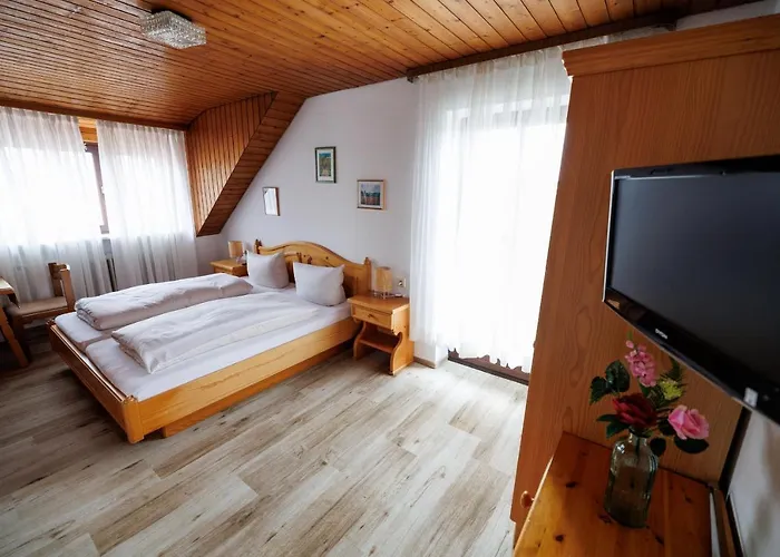 Hotel Drexl Shiro