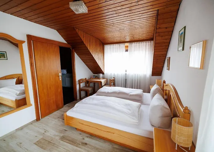 Hotel Drexl Shiro